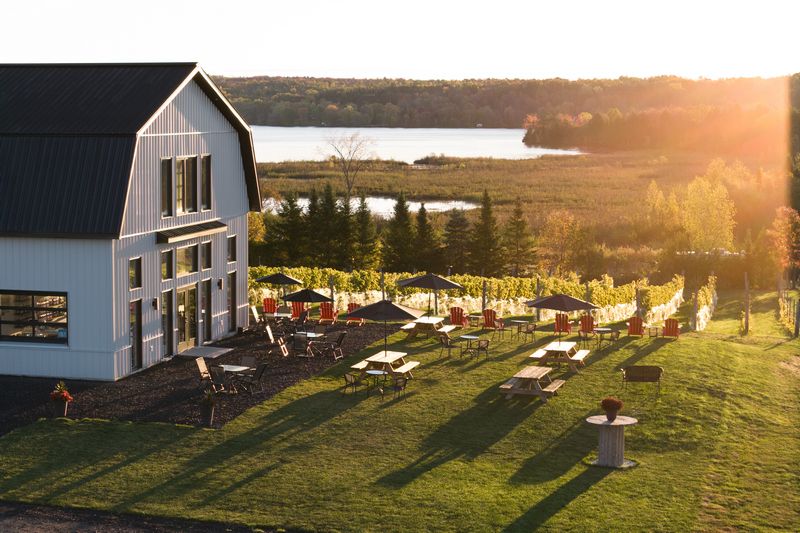 Six vins, six médailles pour le premier millésime du Vignoble Sainte-Catherine